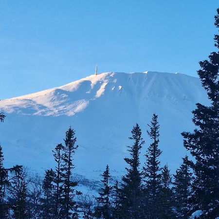 Ny Leilighet Med Flott Utsikt Til Gaustatoppen リューカン エクステリア 写真