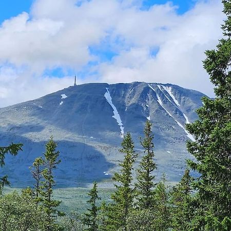 Ny Leilighet Med Flott Utsikt Til Gaustatoppen リューカン エクステリア 写真