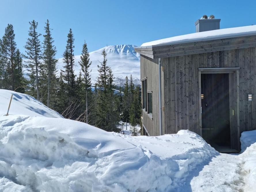 Ny Leilighet Med Flott Utsikt Til Gaustatoppen リューカン エクステリア 写真
