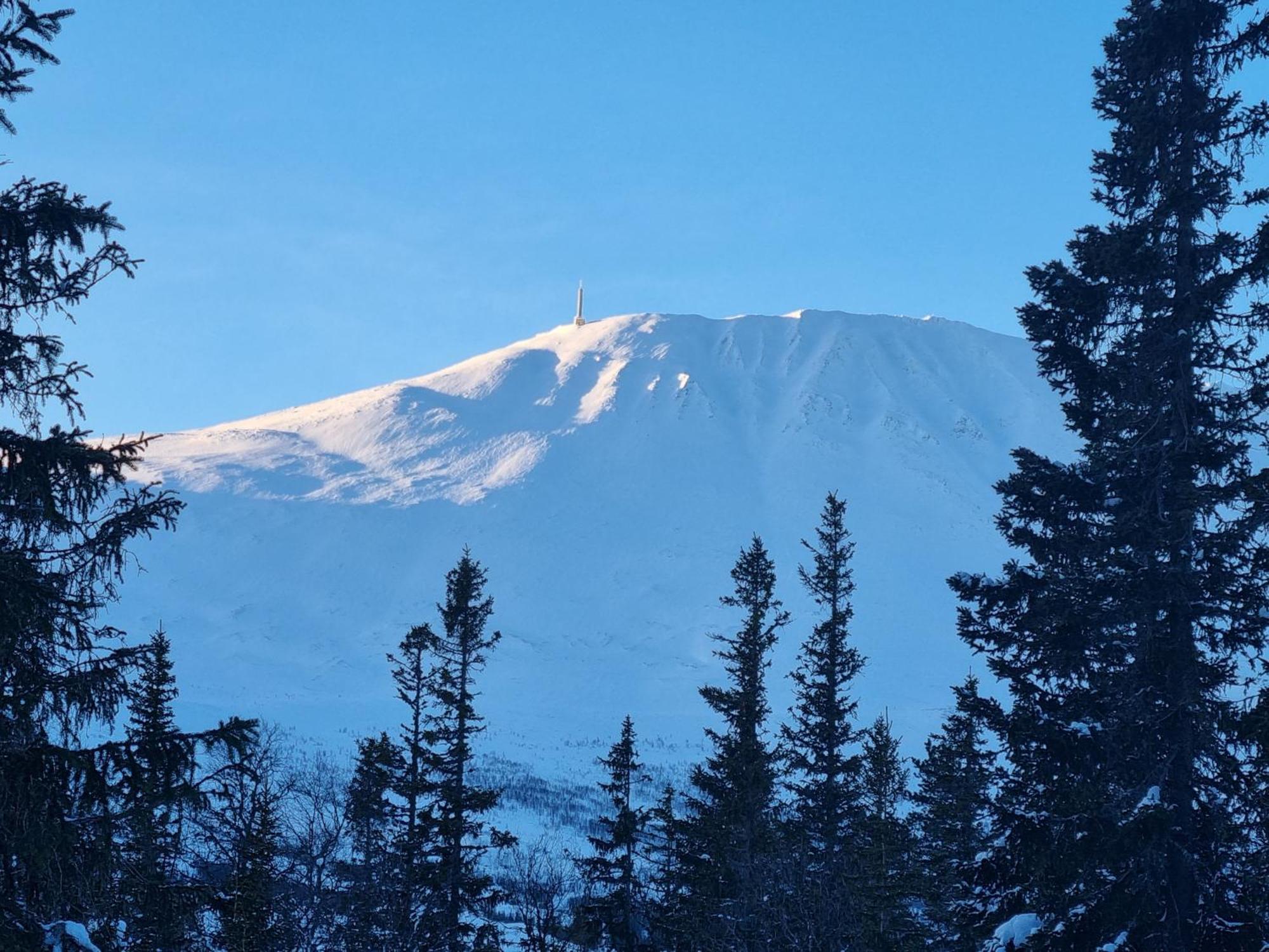 Ny Leilighet Med Flott Utsikt Til Gaustatoppen リューカン エクステリア 写真