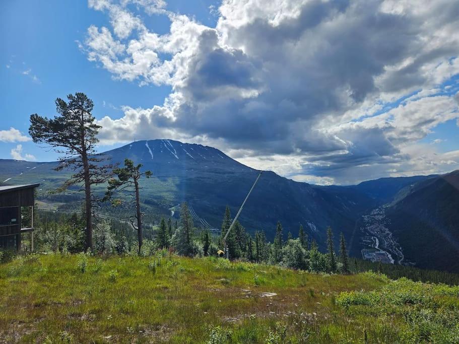 Ny Leilighet Med Flott Utsikt Til Gaustatoppen リューカン エクステリア 写真