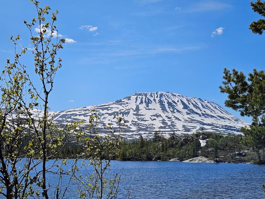 Ny Leilighet Med Flott Utsikt Til Gaustatoppen リューカン エクステリア 写真