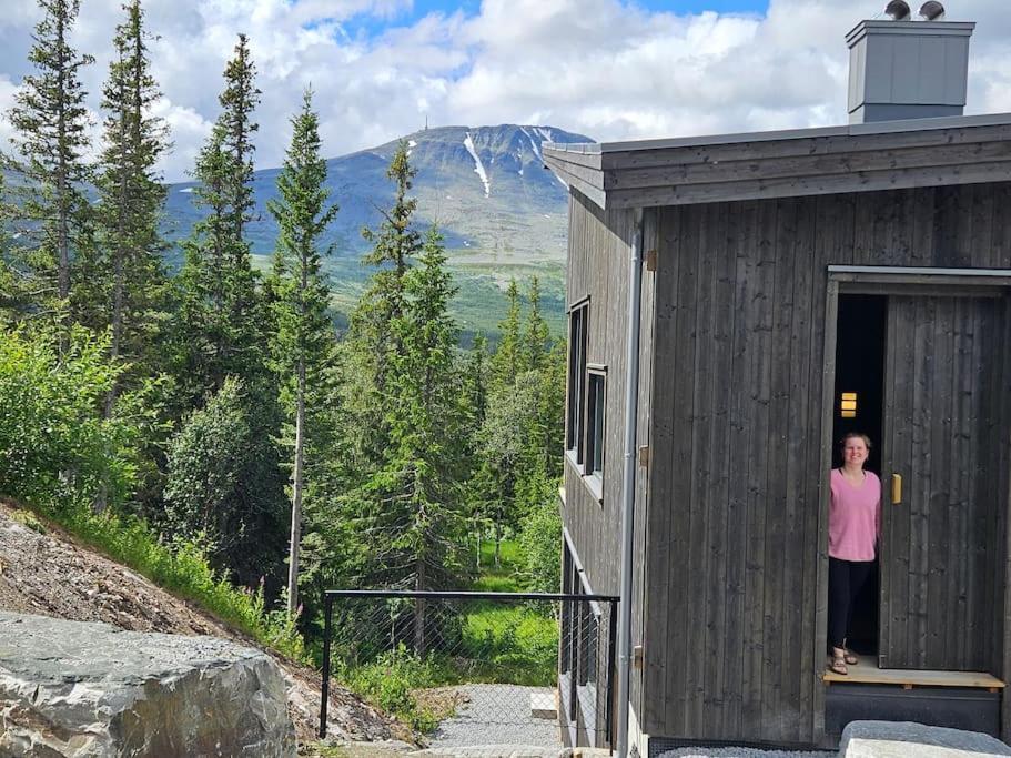 Ny Leilighet Med Flott Utsikt Til Gaustatoppen リューカン エクステリア 写真