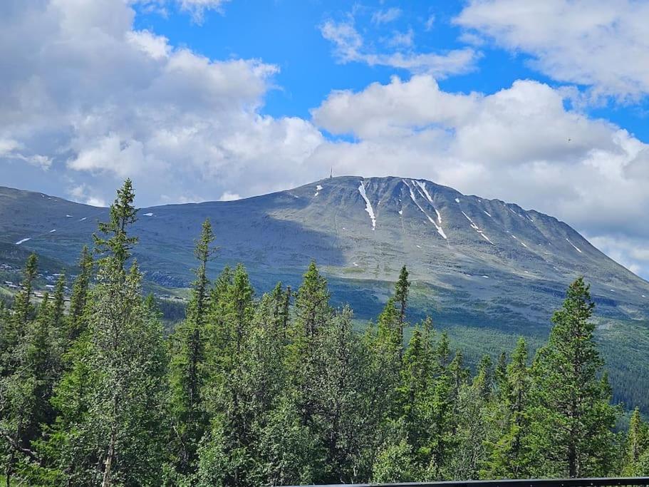 Ny Leilighet Med Flott Utsikt Til Gaustatoppen リューカン エクステリア 写真