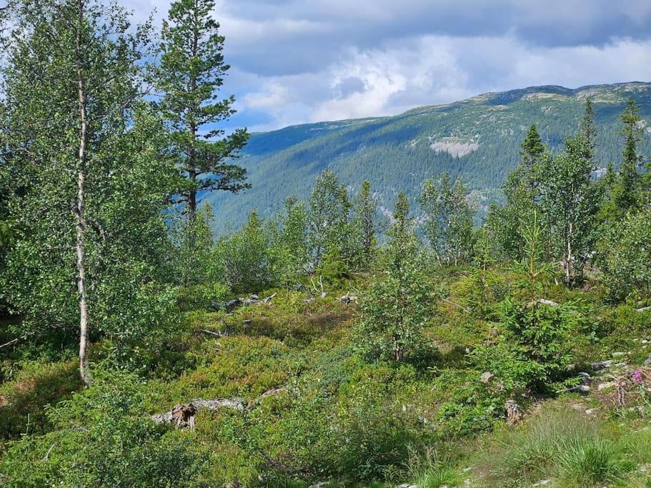 Ny Leilighet Med Flott Utsikt Til Gaustatoppen リューカン エクステリア 写真