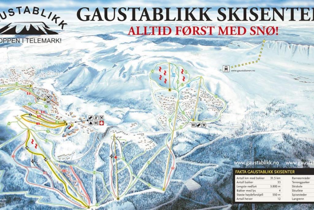 Ny Leilighet Med Flott Utsikt Til Gaustatoppen リューカン エクステリア 写真